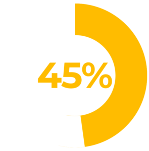 Grafico 45 1 295x300