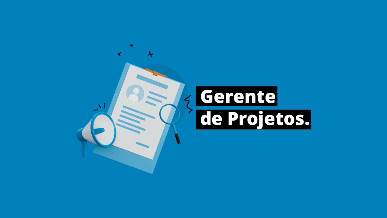 Gerente de Projetos